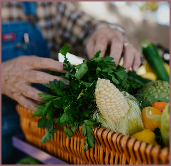 Fresh vegetables in basket