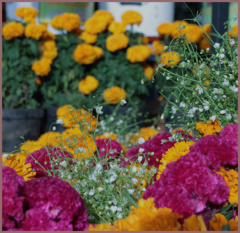 Colorful display of florals